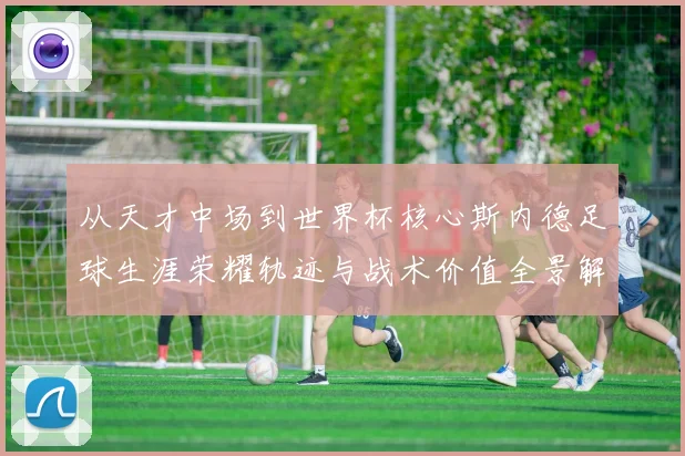 从天才中场到世界杯核心斯内德足球生涯荣耀轨迹与战术价值全景解读