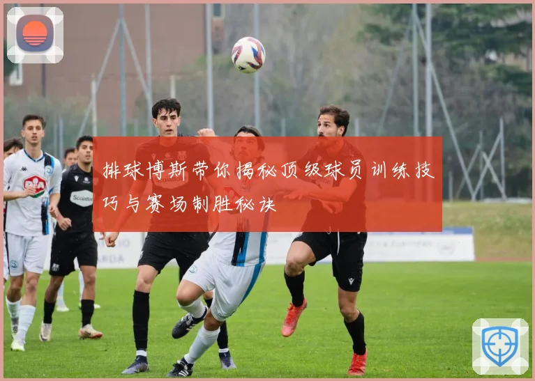 排球博斯带你揭秘顶级球员训练技巧与赛场制胜秘诀