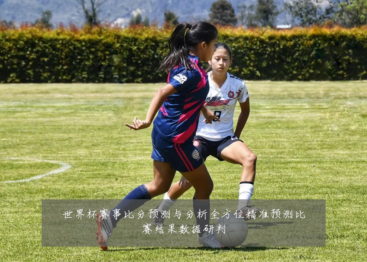 世界杯赛事比分预测与分析全方位精准预测比赛结果数据研判
